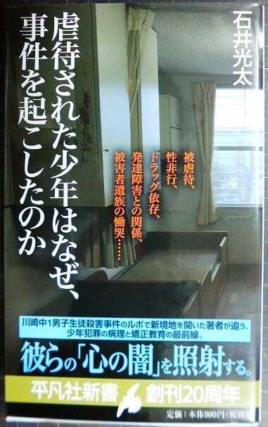 画像1: 虐待された少年はなぜ、事件を起こしたのか★石井光太★平凡社新書