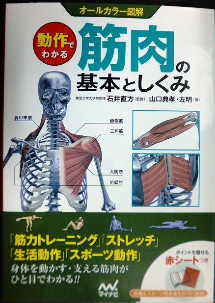 画像1: オールカラー図解 動作でわかる筋肉の基本としくみ★山口典孝・左明 石井直方監修★赤シート付