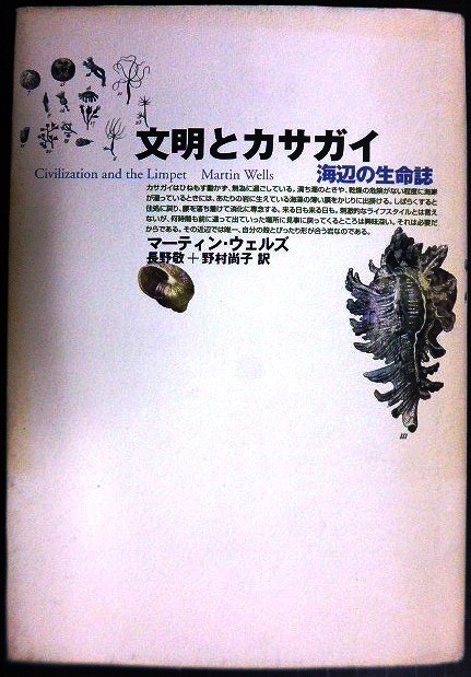 画像1: 文明とカサガイ 海辺の生命誌★マーティン・ウェルズ