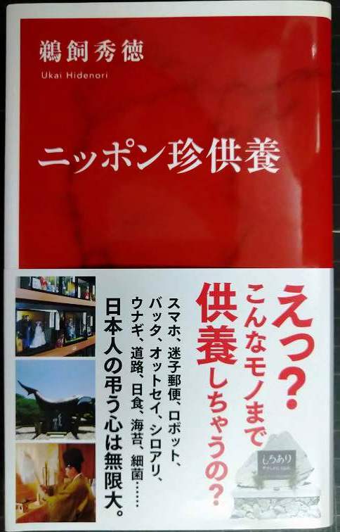 画像1: ニッポン珍供養★鵜飼秀徳★インターナショナル新書
