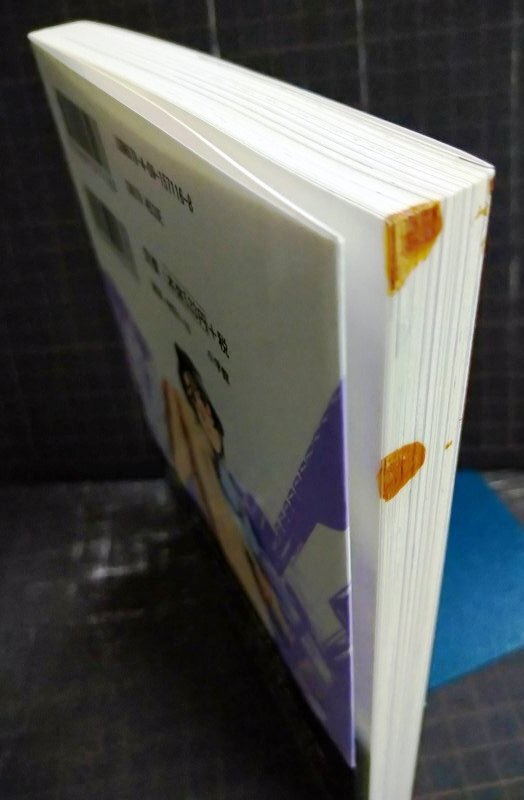 画像4: WILDERNESS ワイルダネス 1-8巻★伊藤明弘★サンデーGXコミックス