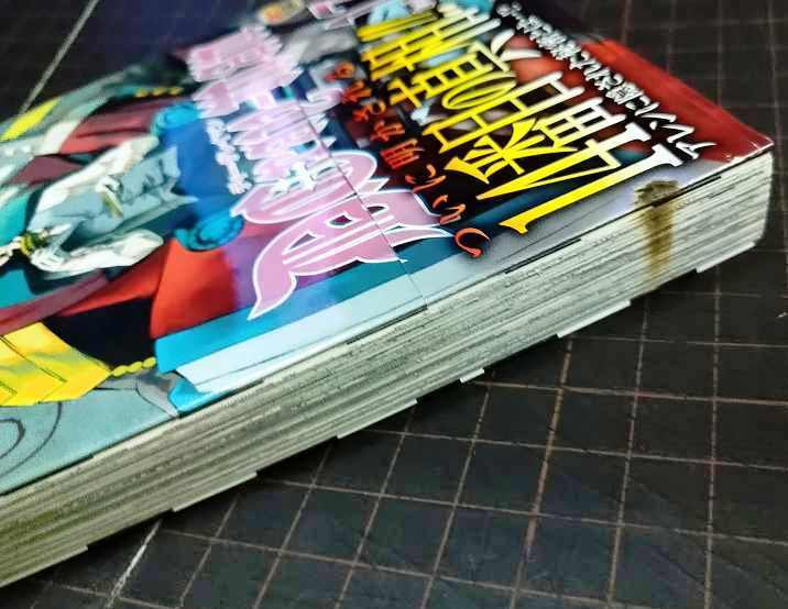 D.Gray-man ディー・グレイマン 1-24巻☆星野桂☆ジャンプ