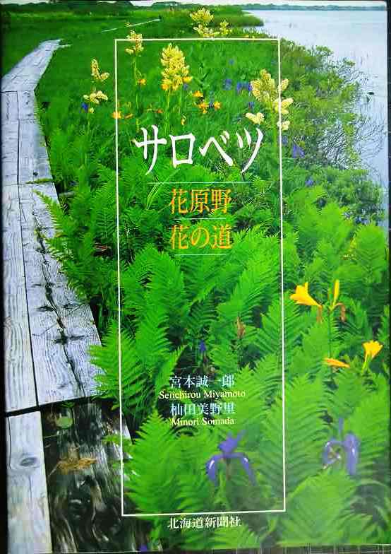 画像1: サロベツ 花原野 花の道★宮本誠一郎 杣田美野里