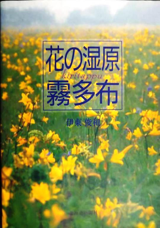 画像1: 花の湿原 霧多布★伊東俊和