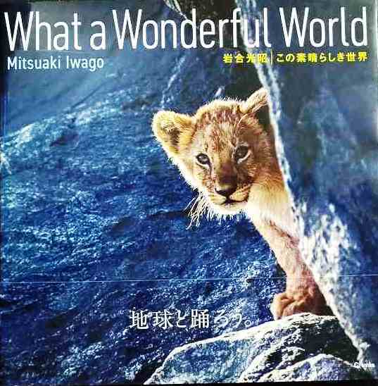 画像1: この素晴らしき世界 What a Wonderful World★写真:岩合光昭