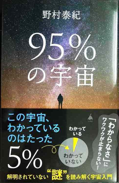画像1: 95％の宇宙 解明されていない謎を読み解く宇宙入門★野村泰紀★SB新書